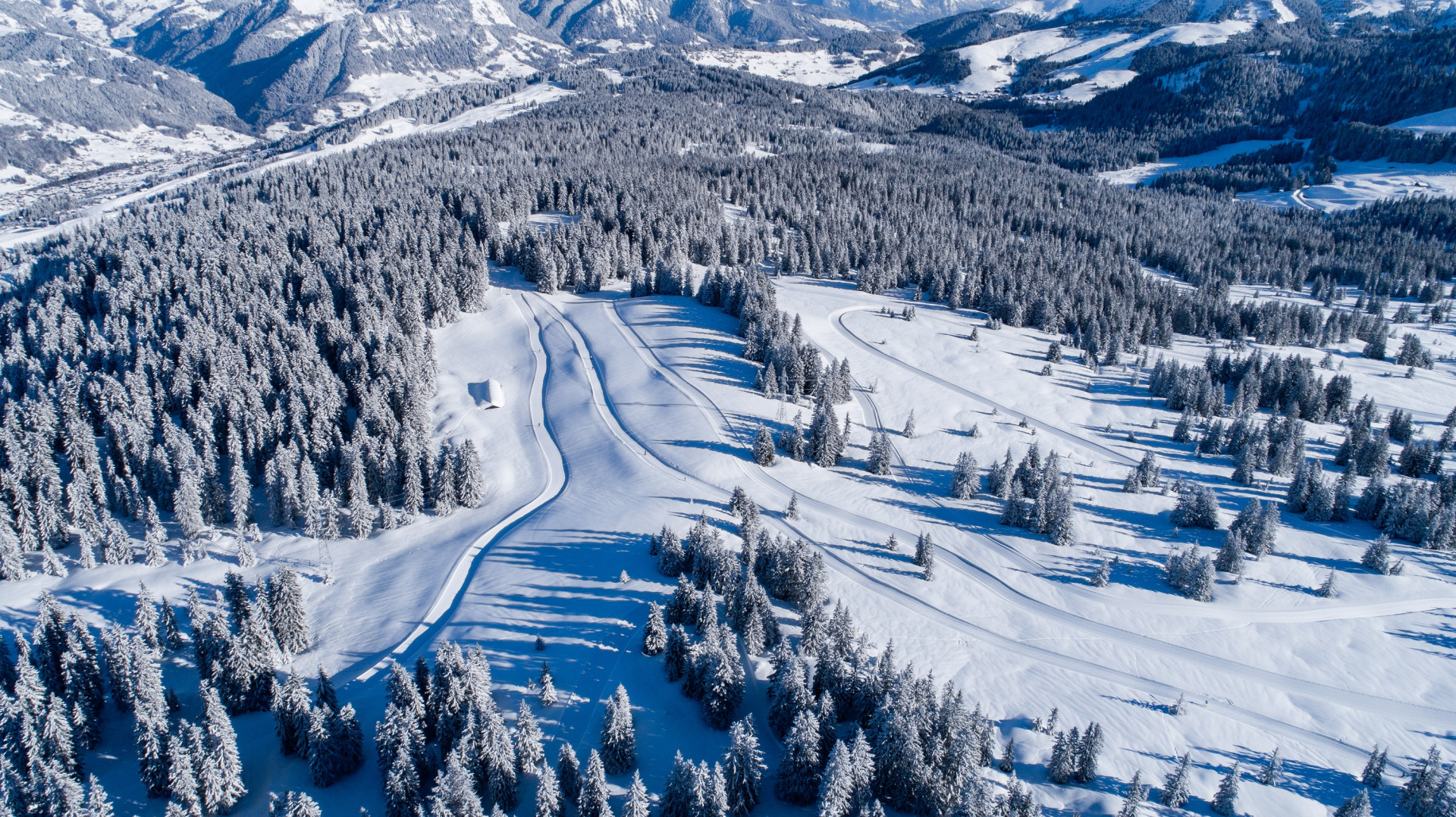 saisies-w18-thuria-paysagedrone-29-4788-5044