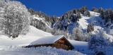 20201213_103714.jpg