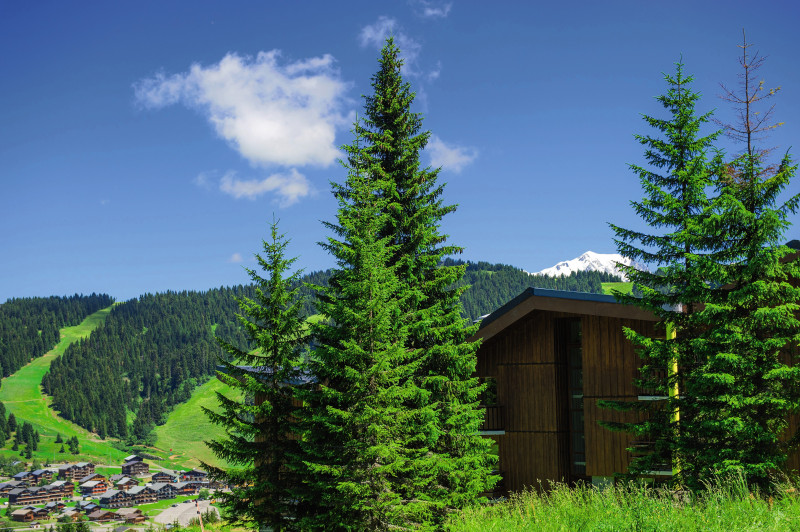 sais10050_npse13_039.jpg sais10050_npse13_039.jpg