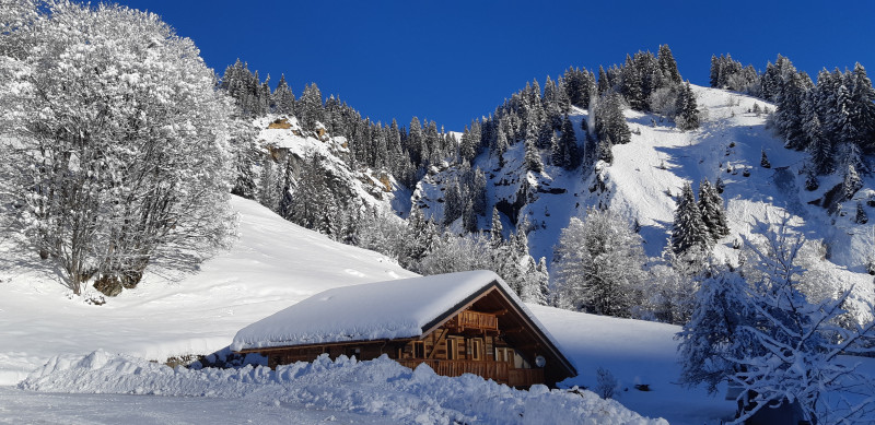 20201213_103714.jpg 20201213_103714.jpg