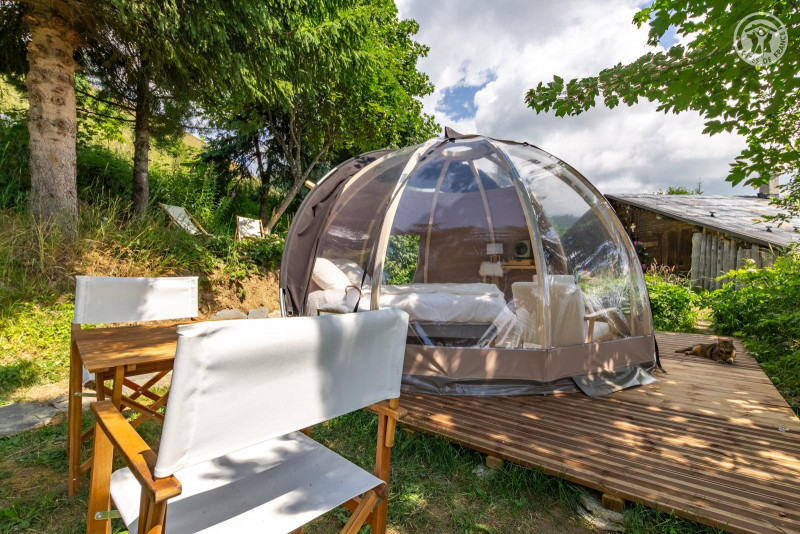 33165153.jpg.jpg 33165153.jpg.jpg