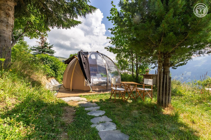 38241844.jpg.jpg 38241844.jpg.jpg