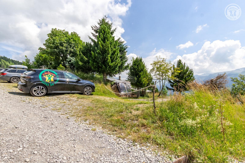 38241867.jpg.jpg 38241867.jpg.jpg