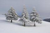 Hiver