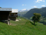 chalet et son espace jardin non clos