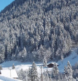 L'environnement du chalet l'hiver