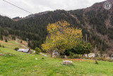 73G132335 - CHALET LA SORSA - HAUTELUCE
