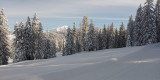 Vue du Mont-Blanc depuis les Saisies (ski de fond)