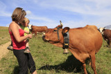 femme tenant dans ses bras un enfant devant une vache