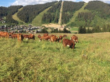 Alpage aux Saisies