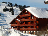 CRISTAL DES NEIGES