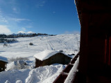CRISTAL DES NEIGES