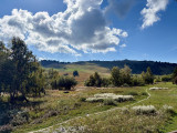227362001_17535_17535i_1791211265.jpg