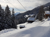 Vue du chalet nature