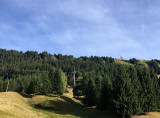 Vue
