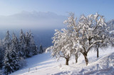 Montagne du Mirantin vue de la terrasse du Gîte