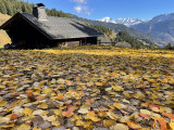 chalet vue arrière en automne, Mont Blanc en fond