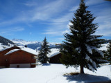 _clients_227362001_photos_17784g_19978764