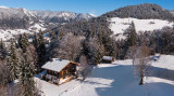 _lv_images__imme_0000000294_02_19008290