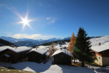 _lv_images__lot_0001130010_11_18648116