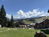 _lv_images__lot_0001200034_11_23437682