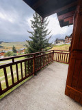 _lv_images__lot_0001300003_11_18646184