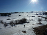 _lv_images__lot_0001370111_11_18617668