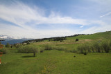 _lv_images__lot_0001390310_12_18996122