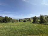 _lv_images__lot_0001460313_11_19624501