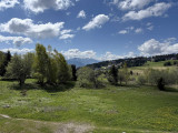 _lv_images__lot_0001470409_14_18995389