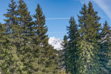 _lv_images__lot_0075554115_15_23478168