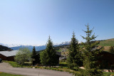 _lv_images__lot_0100000109_14_23563370