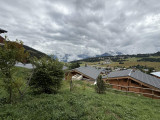 _lv_images__lot_0100000266_14_23573715