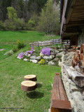 Photo 42