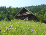 Photo 0