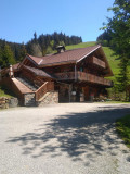 Photo 41
