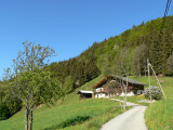Photo 47