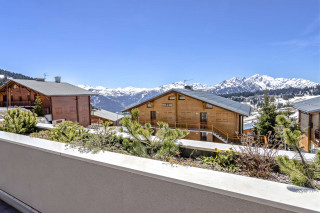 _clients_227362002_photos_23252n_23317959
