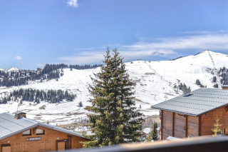 _clients_227362002_photos_23269h_20714556 _clients_227362002_photos_23269h_20714556