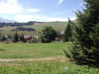 _clients_227362002_photos_23283b_23354628