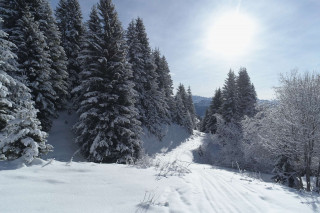 _clients_227362002_photos_23283o_20714698 _clients_227362002_photos_23283o_20714698