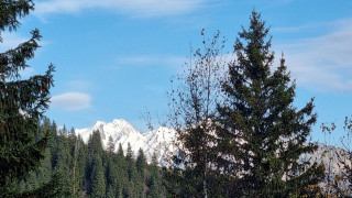 _clients_227362002_photos_23307o_20268272 _clients_227362002_photos_23307o_20268272