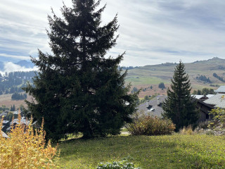 _clients_227362002_photos_26035n_23354863