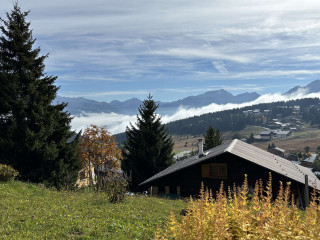 _clients_227362002_photos_26035o_22099454 _clients_227362002_photos_26035o_22099454