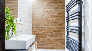 _lv_images__lot_0000000856_08_17155461 _lv_images__lot_0000000856_08_17155461