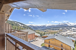 _lv_images__lot_0000000857_11_17155483 _lv_images__lot_0000000857_11_17155483