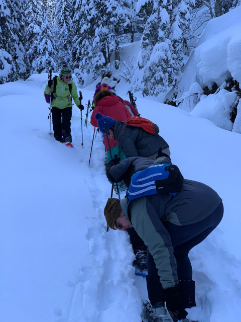 202005045eb0486be1464-21539890