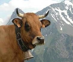 2021121561b98dac18092-21539896