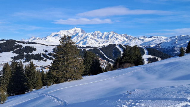 panorama-mont-blanc-19909606
