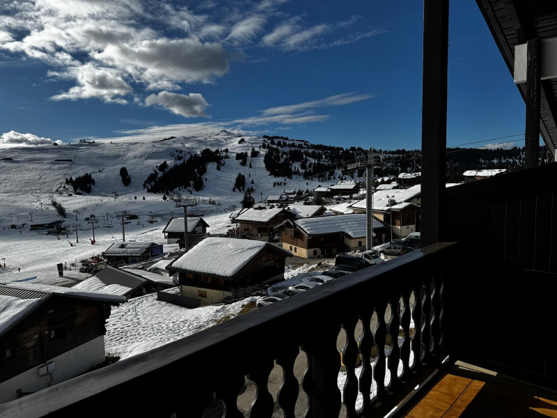 PHOTO-2025-12-29-19-54-29_2 PHOTO-2025-12-29-19-54-29_2